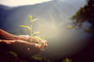 Dia da Terra: por que o projeto Mais Água é fundamental para o futuro sustentável do planeta